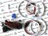 Ангельские глазки Cotton для BMW X5 E53 (Белый)