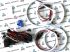 Ангельские глазки Cotton для BMW X5 E53 (Оранжевый)