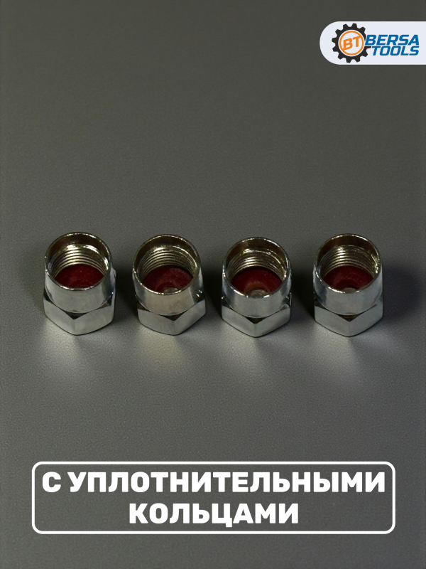 Колпачки на ниппель с эмблемой ALPINA хром, 4 шт