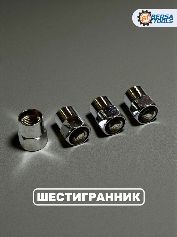 Колпачки на ниппель с эмблемой AC Schnitzer хром, 4 шт
