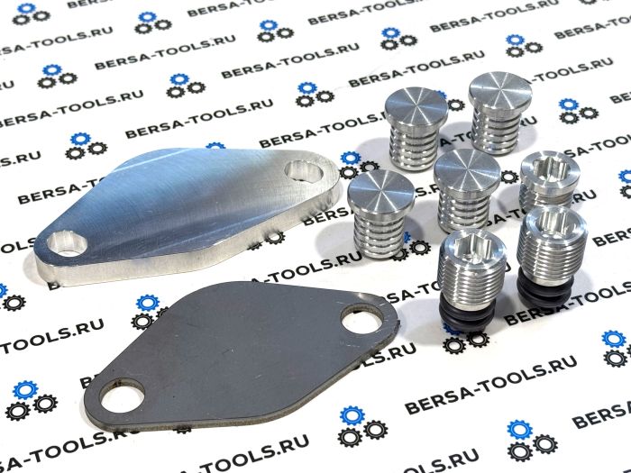 Заглушки EGR и вихревых заслонок BMW N57N F02, F10, F15 (для Америки)