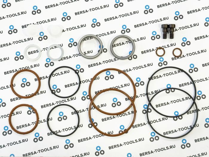 Комплект для ремонта двойного Vanos (Double Vanos) BMW M52TU, M54, M56 (11361440142)